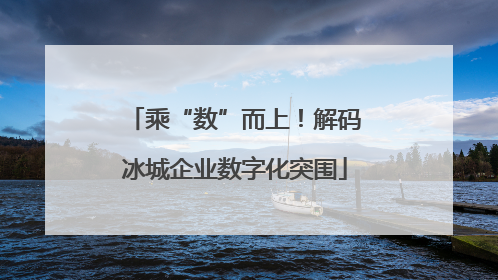 乘“数”而上！解码冰城企业数字化突围