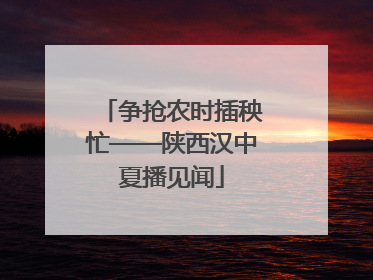 争抢农时插秧忙——陕西汉中夏播见闻