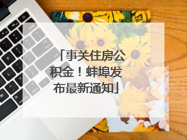 事关住房公积金！蚌埠发布最新通知