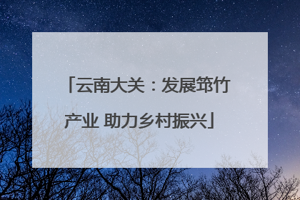 云南大关：发展筇竹产业 助力乡村振兴