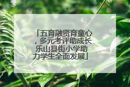 五育融贤育童心，多元考评助成长 乐山县街小学助力学生全面发展