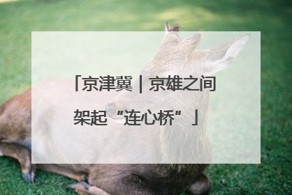 京津冀｜京雄之间架起“连心桥”