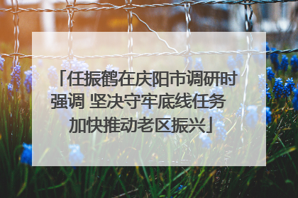 任振鹤在庆阳市调研时强调 坚决守牢底线任务 加快推动老区振兴