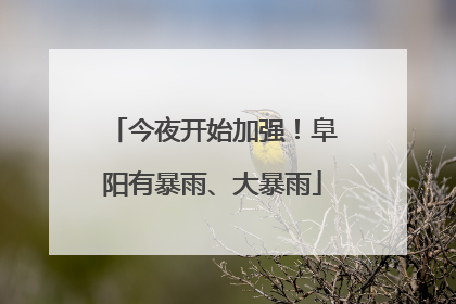 今夜开始加强！阜阳有暴雨、大暴雨