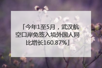 今年1至5月，武汉航空口岸免签入境外国人同比增长160.87%