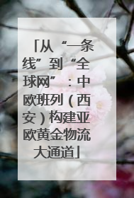 从“一条线”到“全球网”：中欧班列（西安）构建亚欧黄金物流大通道