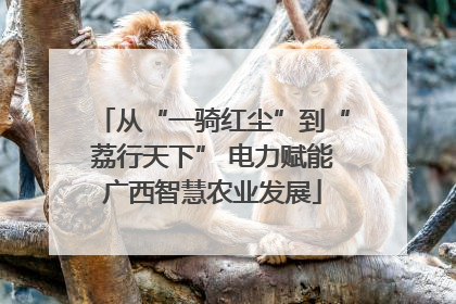 从“一骑红尘”到“荔行天下” 电力赋能广西智慧农业发展