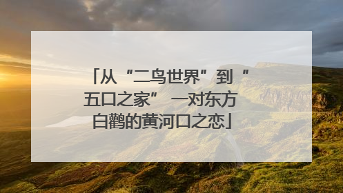从“二鸟世界”到“五口之家” 一对东方白鹳的黄河口之恋