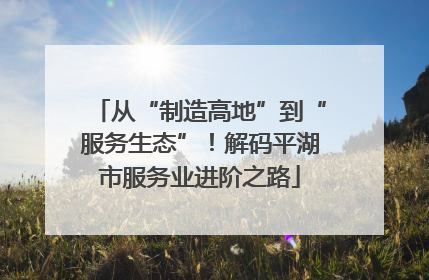 从“制造高地”到“服务生态”！解码平湖市服务业进阶之路