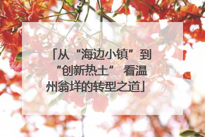 从“海边小镇”到“创新热土” 看温州翁垟的转型之道