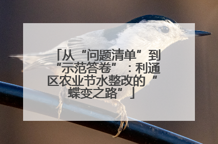 从“问题清单”到“示范答卷”：利通区农业节水整改的“蝶变之路”