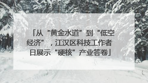从“黄金水道”到“低空经济”，江汉区科技工作者日展示“硬核”产业答卷