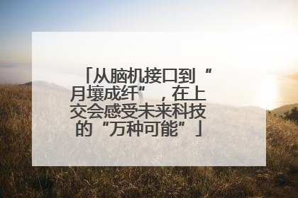 从脑机接口到“月壤成纤”，在上交会感受未来科技的“万种可能”