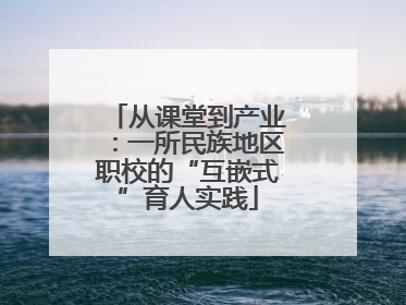从课堂到产业：一所民族地区职校的“互嵌式”育人实践
