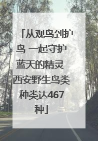 从观鸟到护鸟 一起守护蓝天的精灵 西安野生鸟类种类达467种