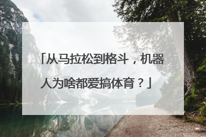 从马拉松到格斗，机器人为啥都爱搞体育？