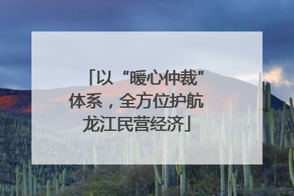 以“暖心仲裁”体系，全方位护航龙江民营经济