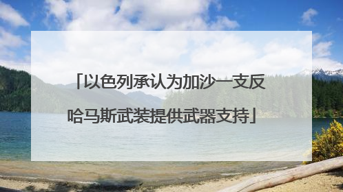 以色列承认为加沙一支反哈马斯武装提供武器支持