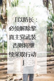 以防长：必须解除黎真主党武装 否则将继续采取行动