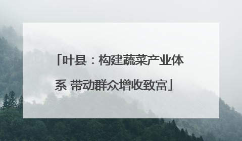 叶县：构建蔬菜产业体系 带动群众增收致富