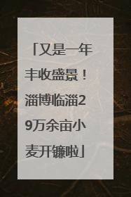 又是一年丰收盛景！淄博临淄29万余亩小麦开镰啦