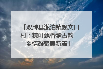 双牌县泷泊镇观文口村：粽叶飘香承古韵 乡情凝聚展新篇