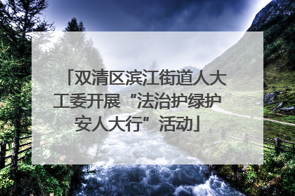 双清区滨江街道人大工委开展“法治护绿护安人大行”活动