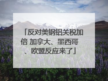 反对美钢铝关税加倍 加拿大、墨西哥、欧盟反应来了