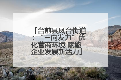 台前县凤台街道：“三向发力”优化营商环境 赋能企业发展新活力