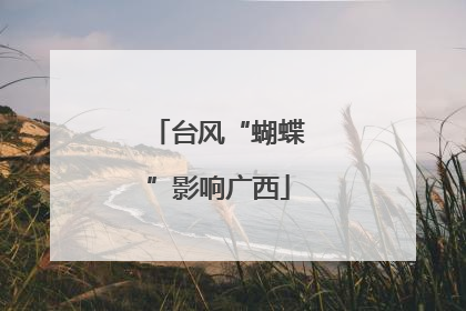 台风“蝴蝶”影响广西