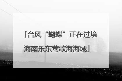 台风“蝴蝶”正在过境海南乐东莺歌海海域
