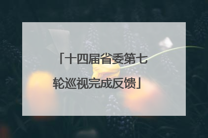 十四届省委第七轮巡视完成反馈