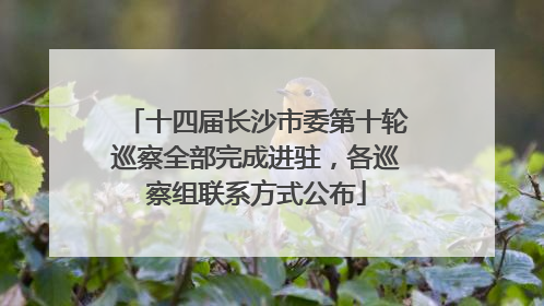 十四届长沙市委第十轮巡察全部完成进驻，各巡察组联系方式公布