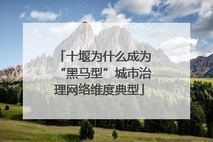 十堰为什么成为“黑马型”城市治理网络维度典型