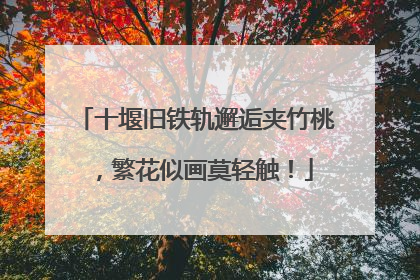 十堰旧铁轨邂逅夹竹桃，繁花似画莫轻触！