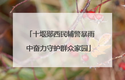 十堰郧西民辅警暴雨中奋力守护群众家园