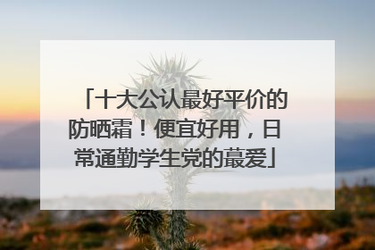 十大公认最好平价的防晒霜！便宜好用，日常通勤学生党的蕞爱