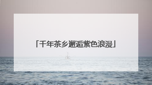 千年茶乡邂逅紫色浪漫