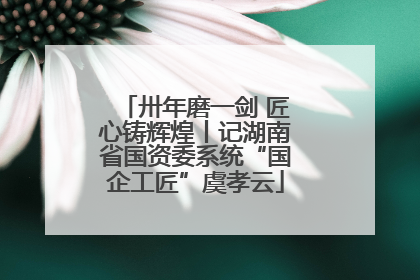 卅年磨一剑 匠心铸辉煌丨记湖南省国资委系统“国企工匠”虞孝云
