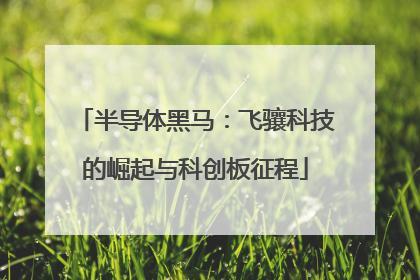 半导体黑马：飞骧科技的崛起与科创板征程