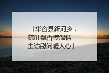 华容县新河乡：粽叶飘香传温情 走访慰问暖人心