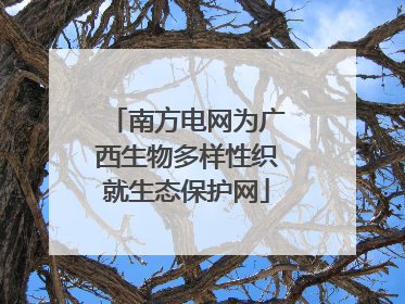 南方电网为广西生物多样性织就生态保护网