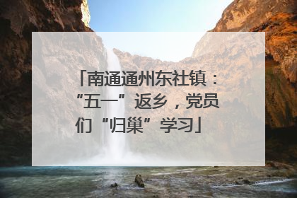 南通通州东社镇：“五一”返乡，党员们“归巢”学习