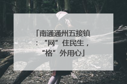 南通通州五接镇：“网”住民生，“格”外用心