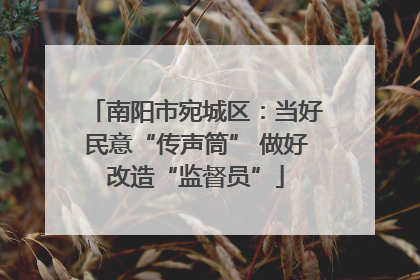 南阳市宛城区：当好民意“传声筒” 做好改造“监督员”