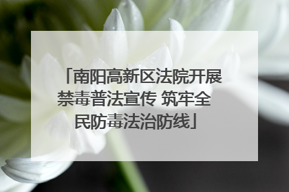 南阳高新区法院开展禁毒普法宣传 筑牢全民防毒法治防线