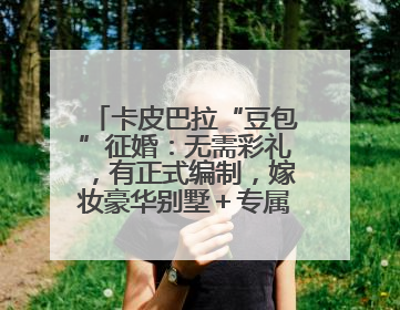卡皮巴拉“豆包”征婚：无需彩礼，有正式编制，嫁妆豪华别墅＋专属泳池！