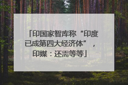 印国家智库称“印度已成第四大经济体”，印媒：还需等等