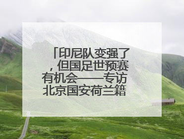印尼队变强了，但国足世预赛有机会——专访北京国安荷兰籍外教杰森