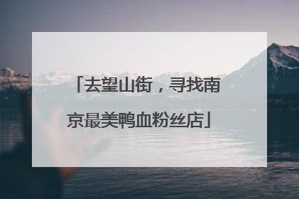 去望山街，寻找南京最美鸭血粉丝店